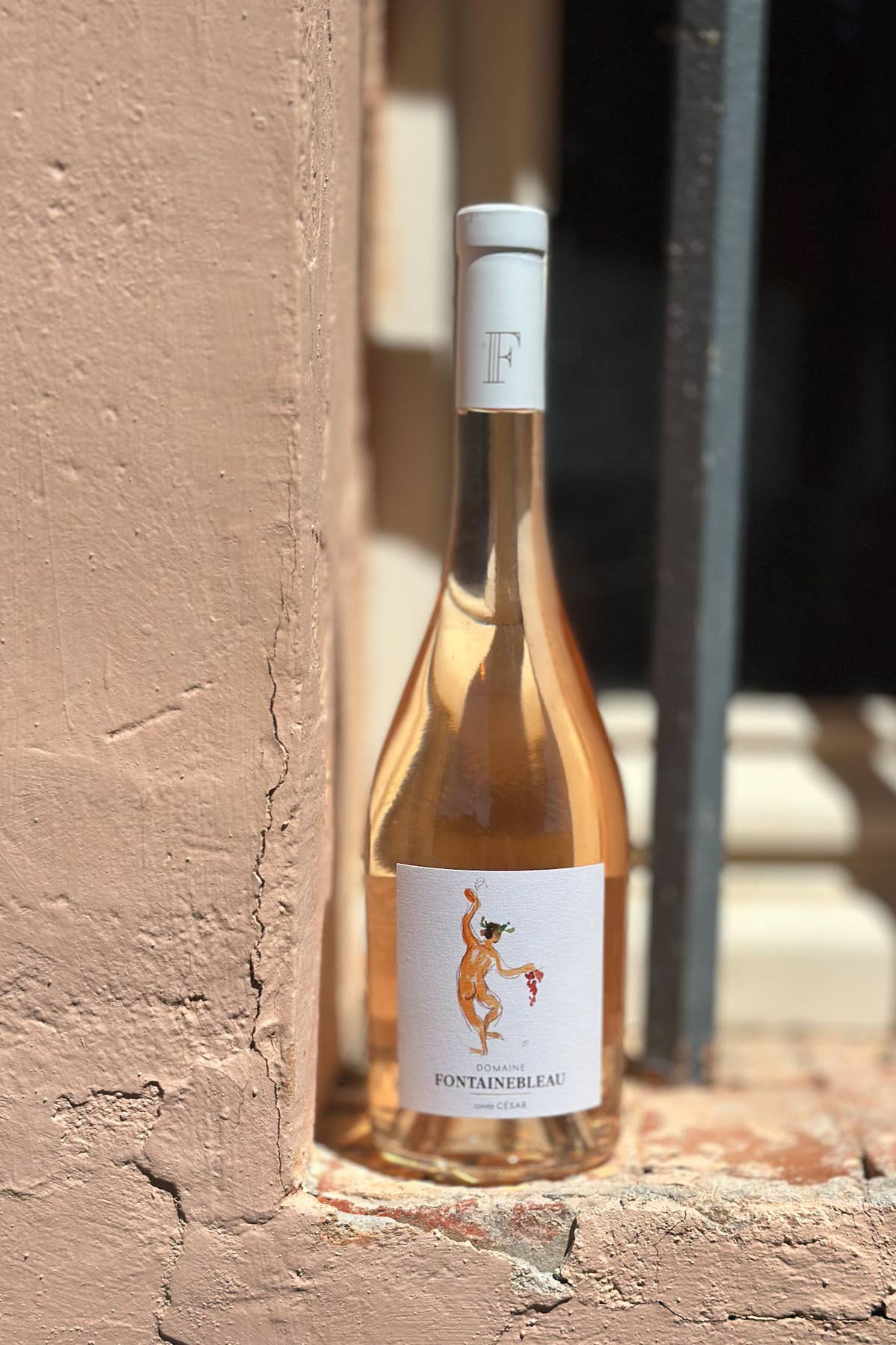 César Rosé 2025 at the foot of an ochre wall