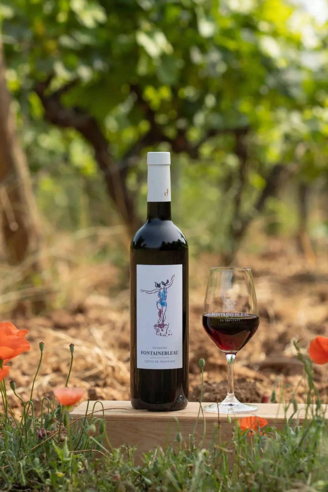 Côtes de Provence rouge 2024 et un verre servi dans les vignes, entre les coquelicots