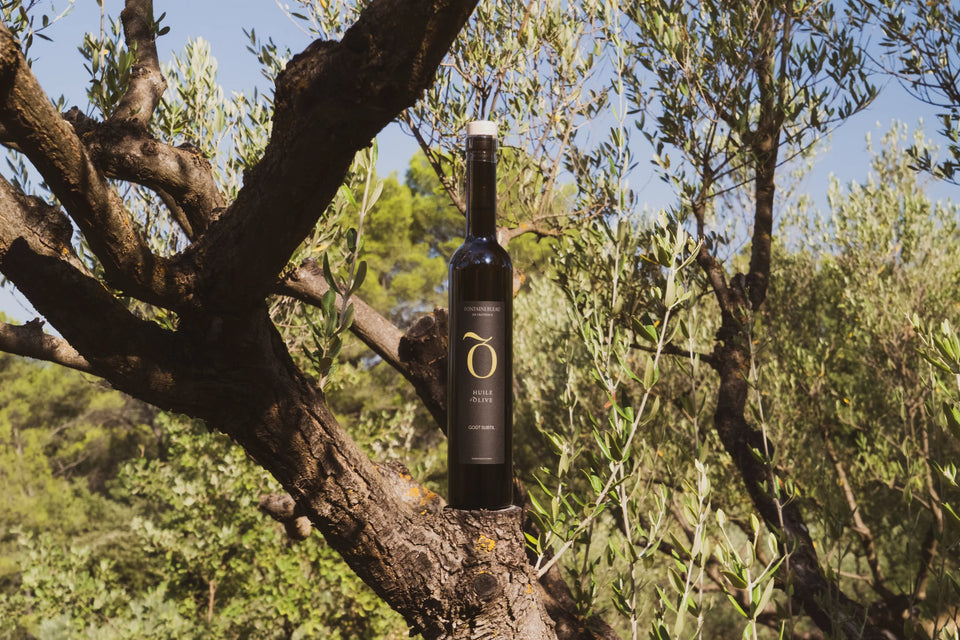 Une bouteille de l’huile d’olive du domaine dans un olivier — Domaine Fontainebleau en Provence