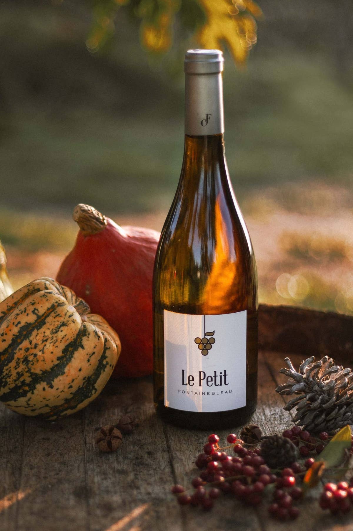 Le Petit Fontainebleau white on an autumn table