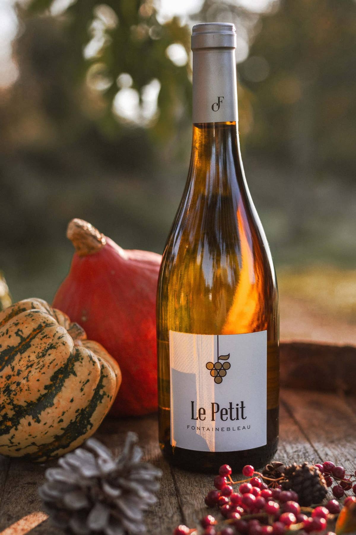 Le Petit Fontainebleau white among squashes and pine cones