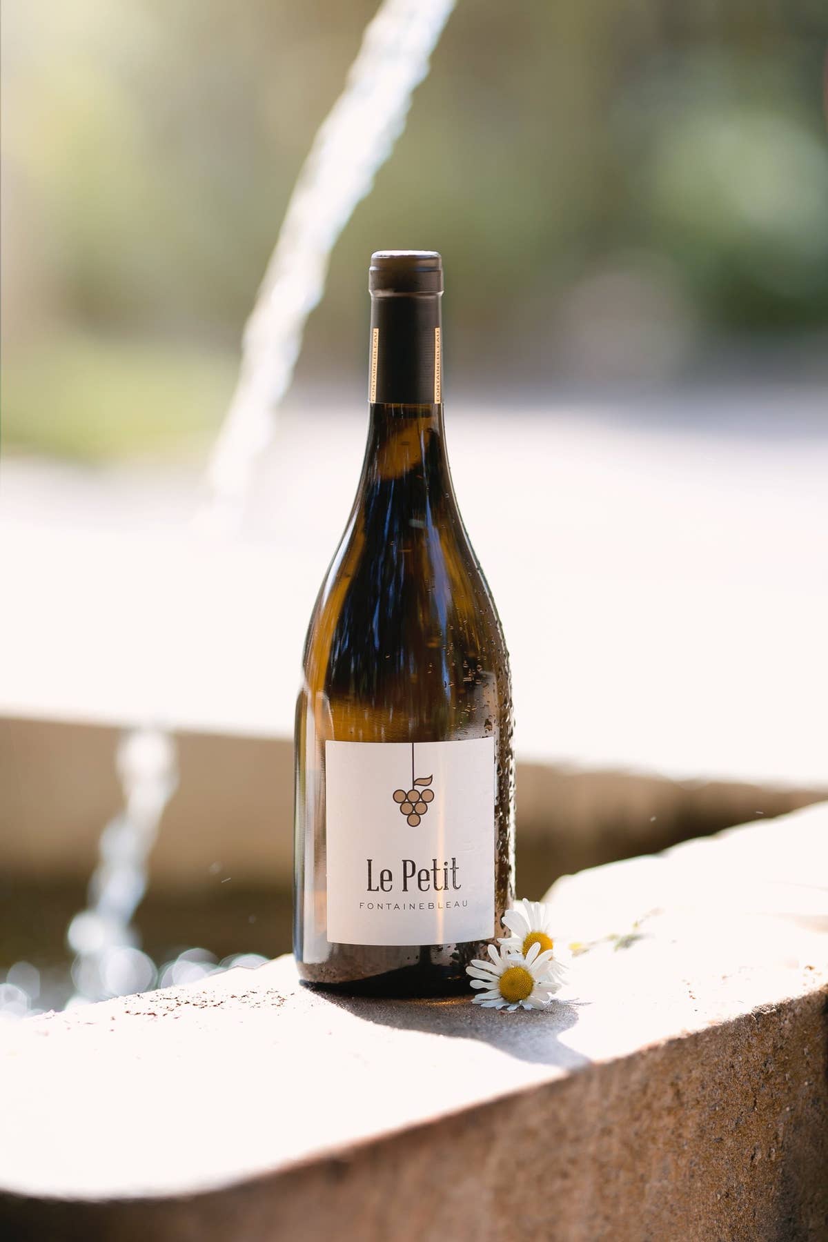 Le Petit Fontainebleau white by a fountain, a daisy at its foot
