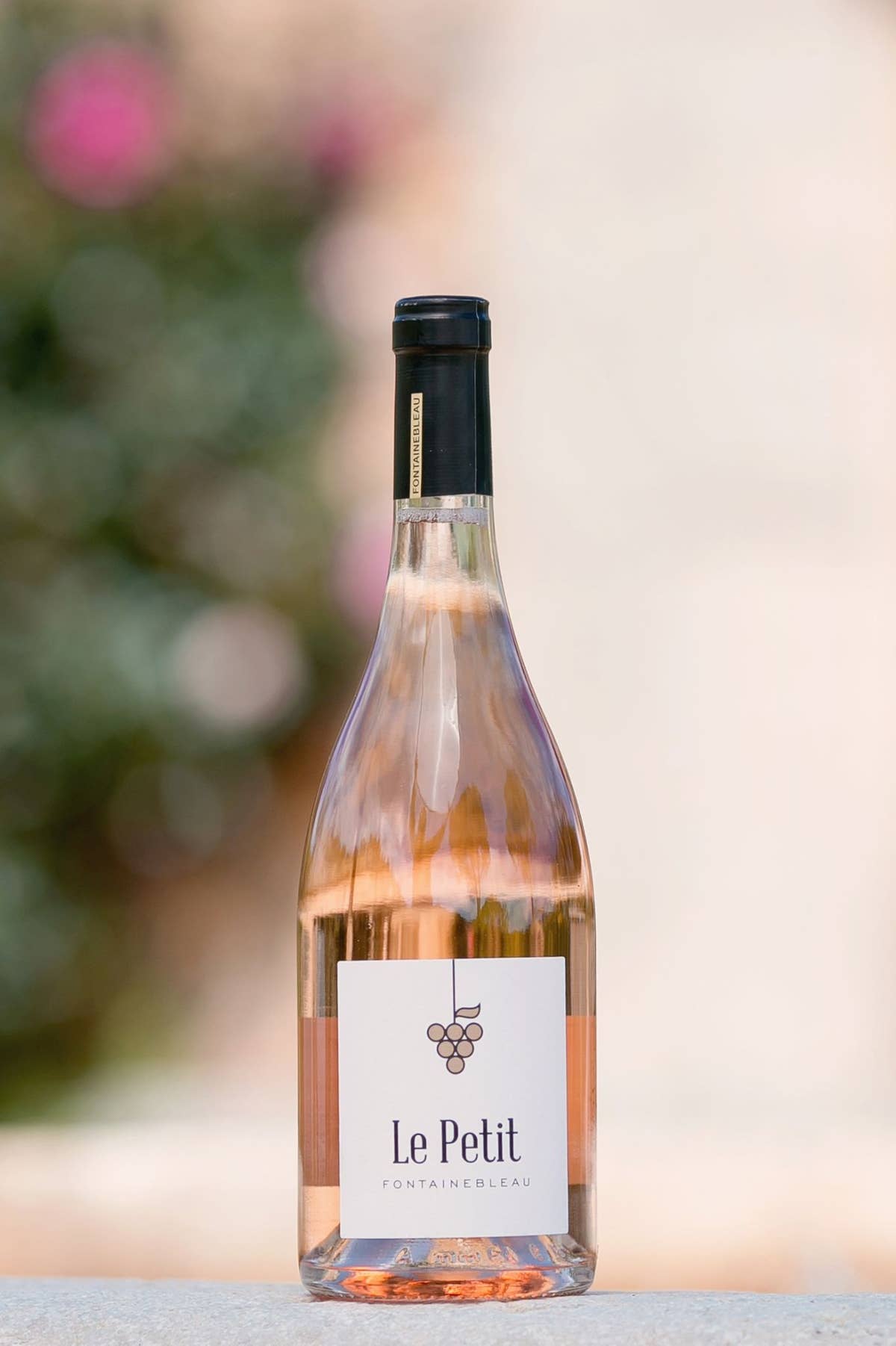 Le Petit Fontainebleau rosé posé sur un muret