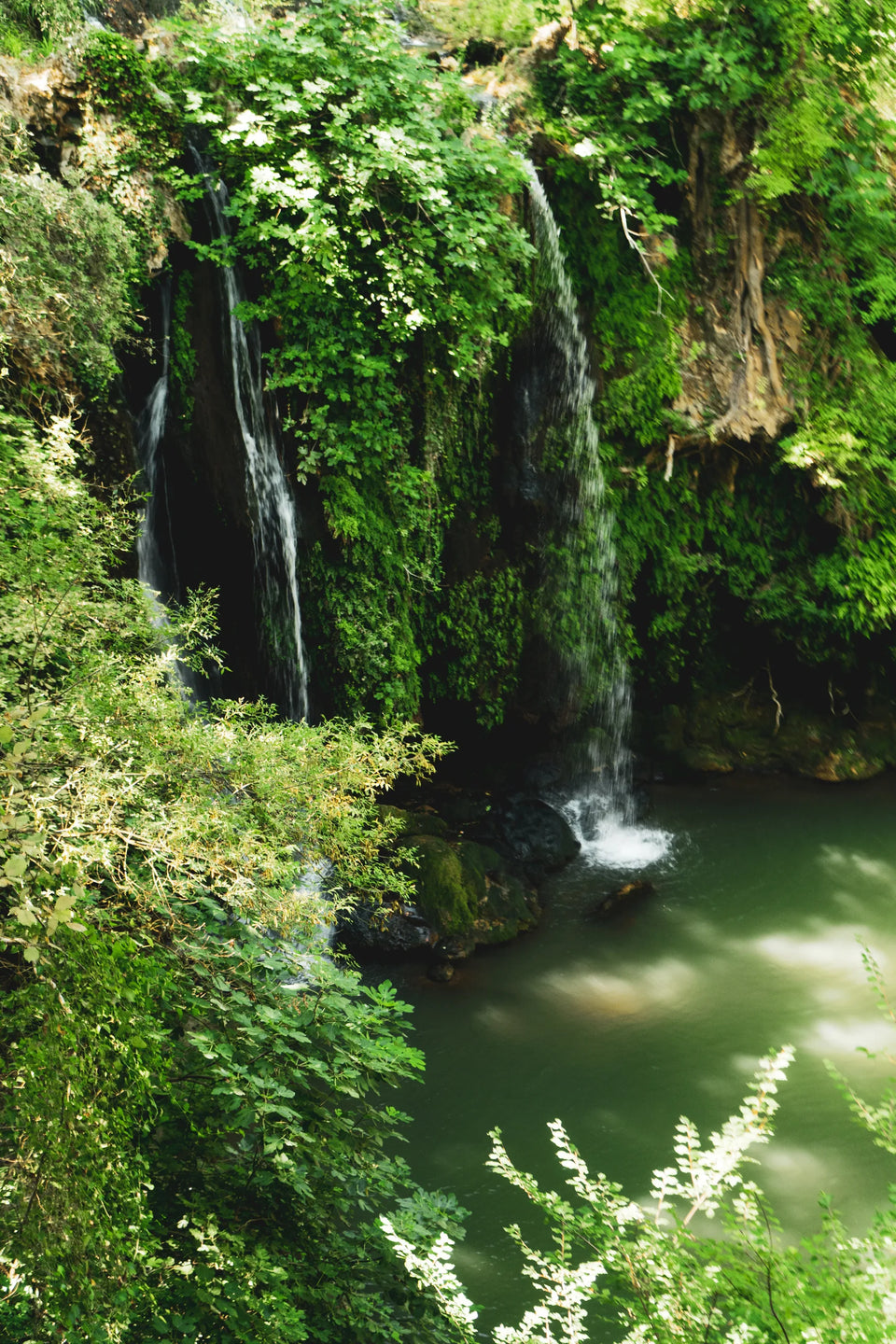 Une cascade dans la verdure — Domaine Fontainebleau en Provence