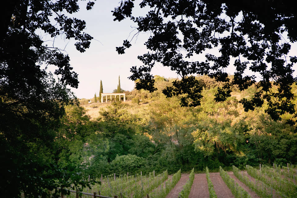 The vines and the obelisk