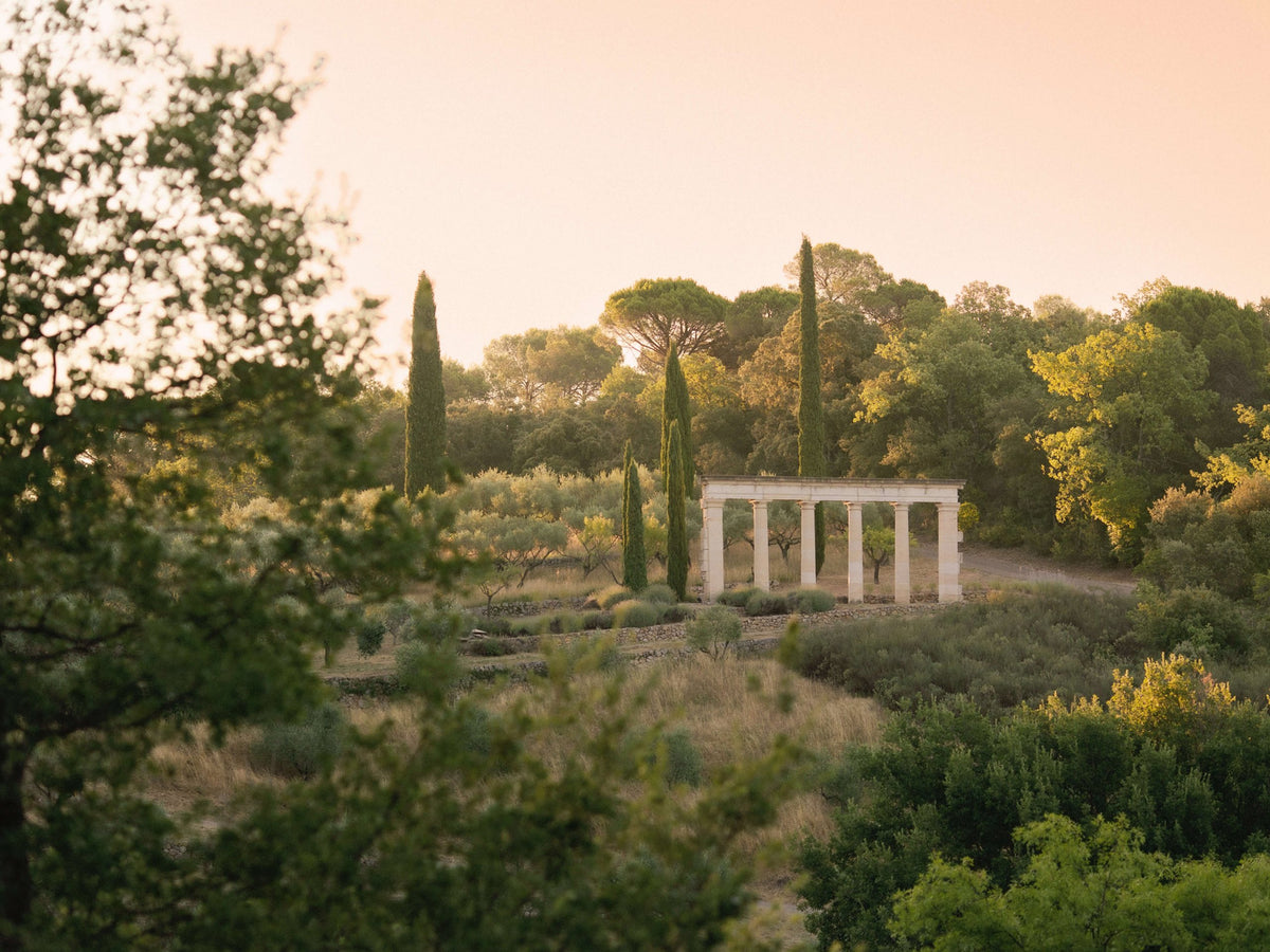 Colonnes gréco-romaines surplombant les restanques d’oliviers du domaine