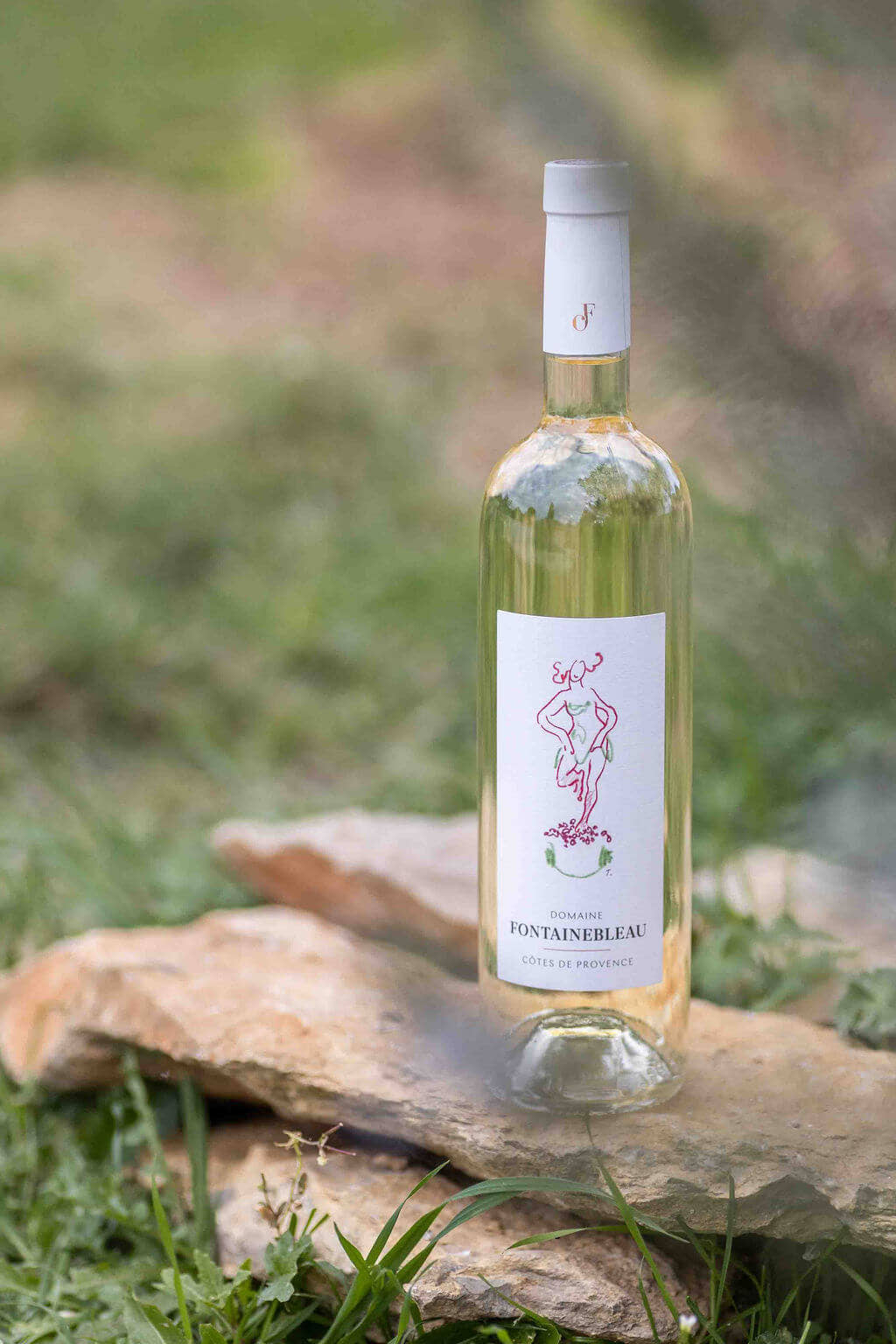 Côtes de Provence white 2025 on a stone, in the grass
