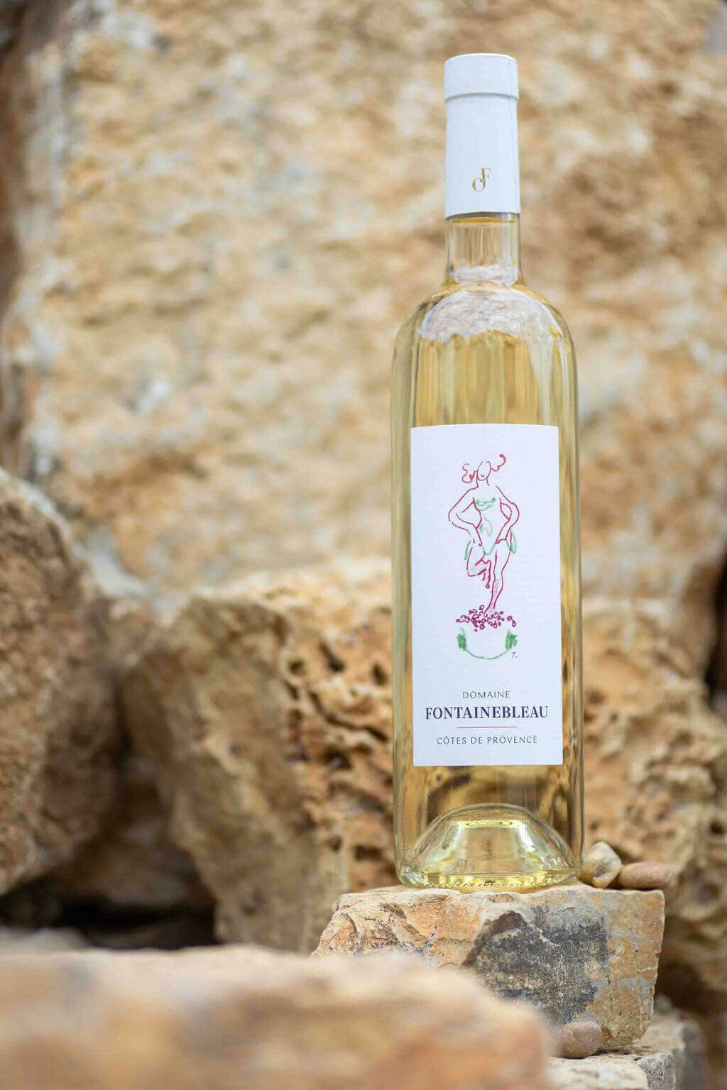 Côtes de Provence white 2025 on a sunlit rock