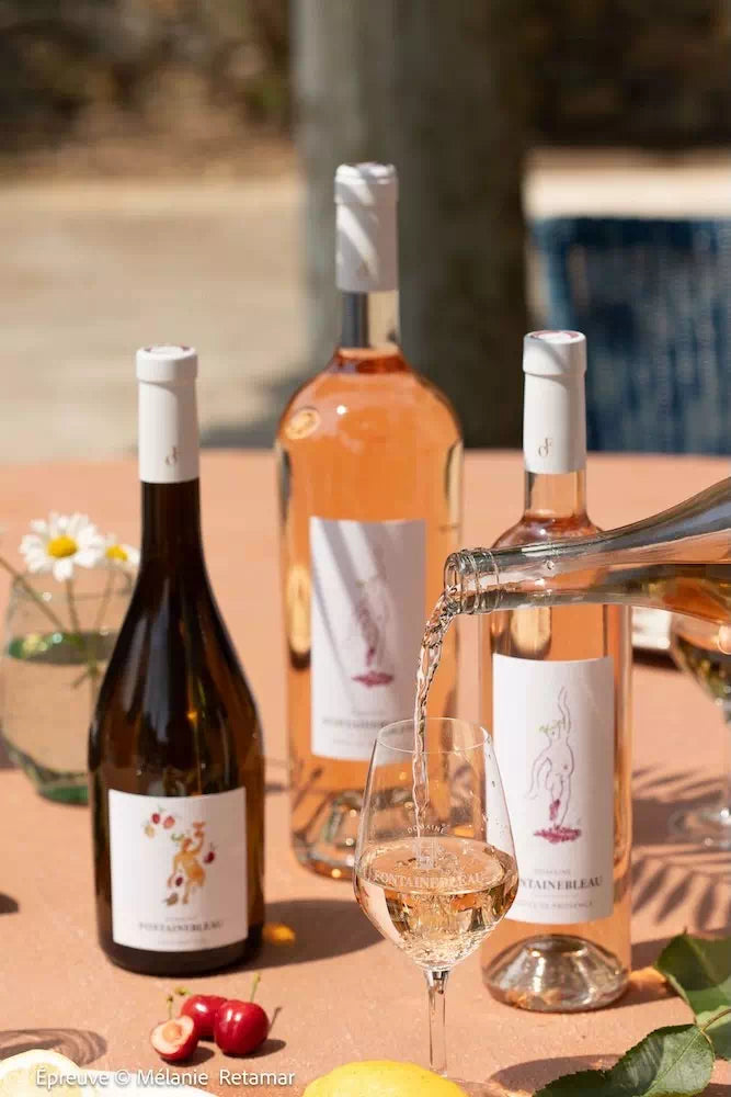 Dégustation de rosés et de blancs du domaine, un verre servi en terrasse