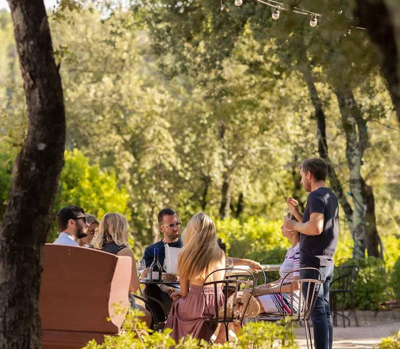 Une dégustation guidée en terrasse, à l'ombre des arbres