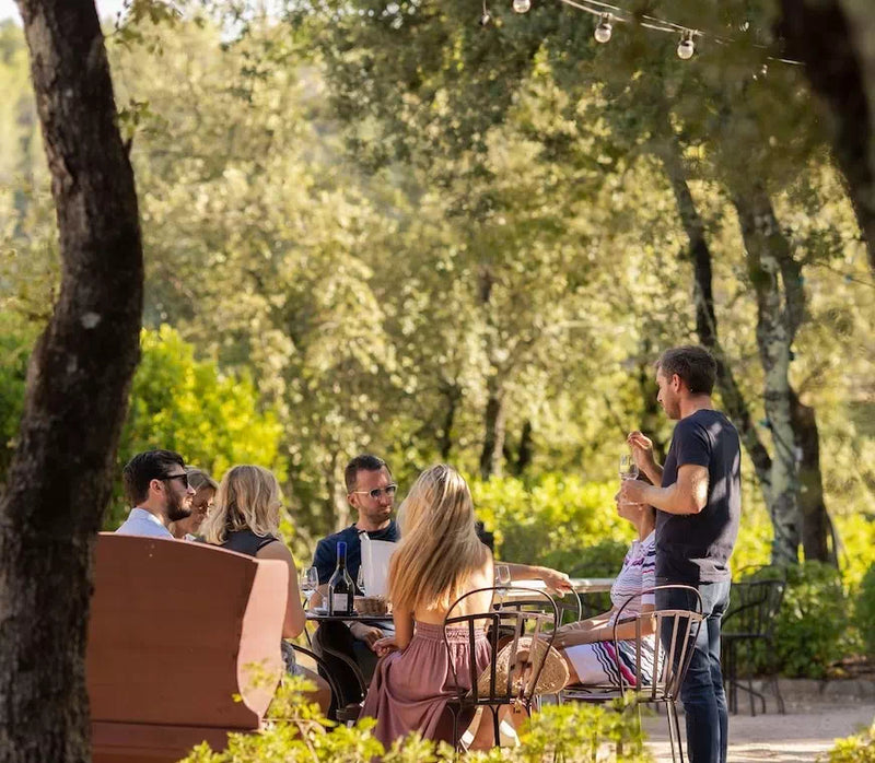 Une dégustation guidée en terrasse, à l'ombre des arbres