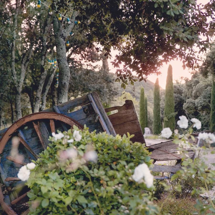 An old cart among white roses — Domaine Fontainebleau en Provence