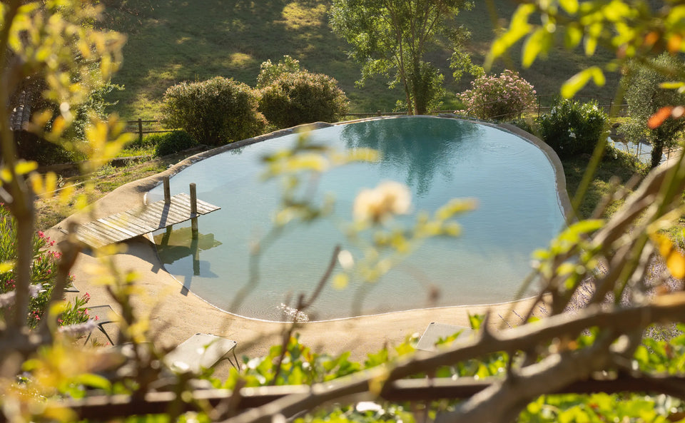 La piscine naturelle — Domaine Fontainebleau en Provence