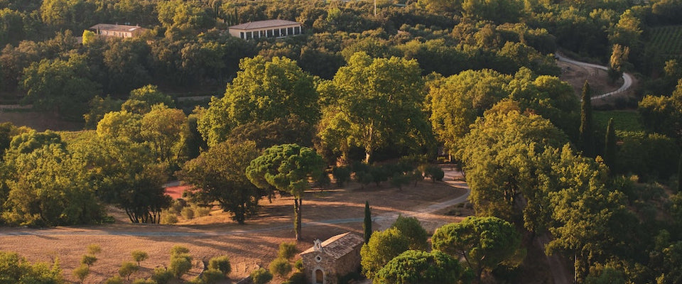Vue aérienne des vignes et du terroir du Domaine Fontainebleau