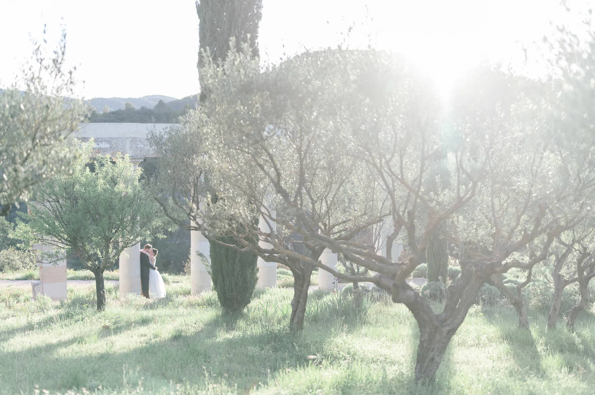 The sunlit olive grove — Domaine Fontainebleau en Provence