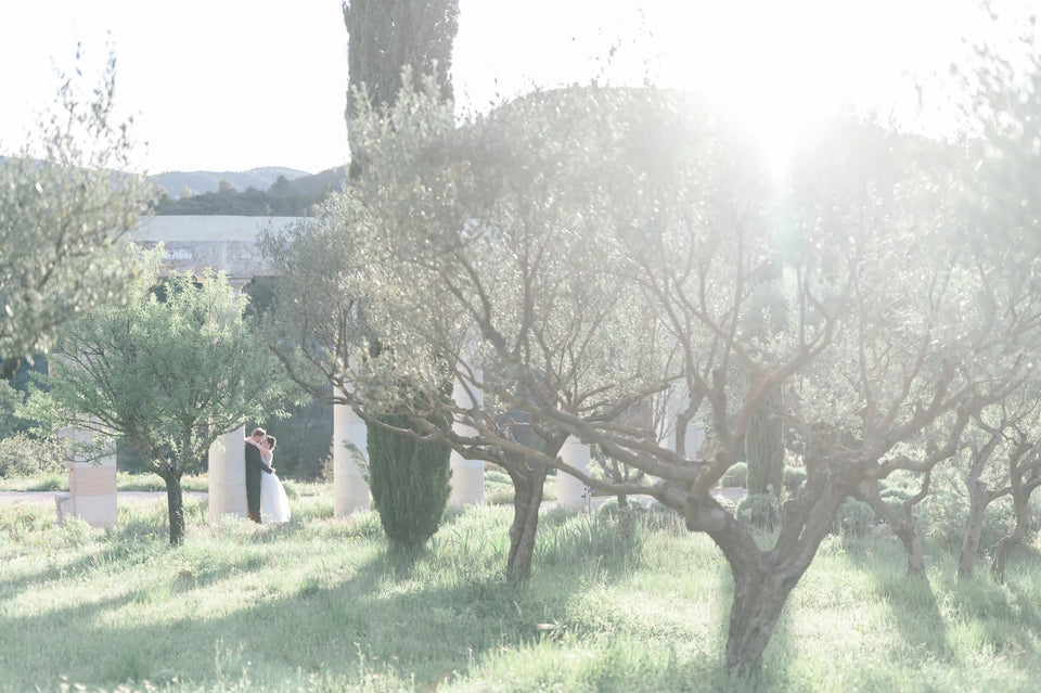 L’oliveraie baignée de soleil — Domaine Fontainebleau en Provence