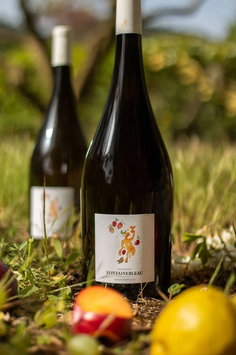 Héritage collection and citrus fruit