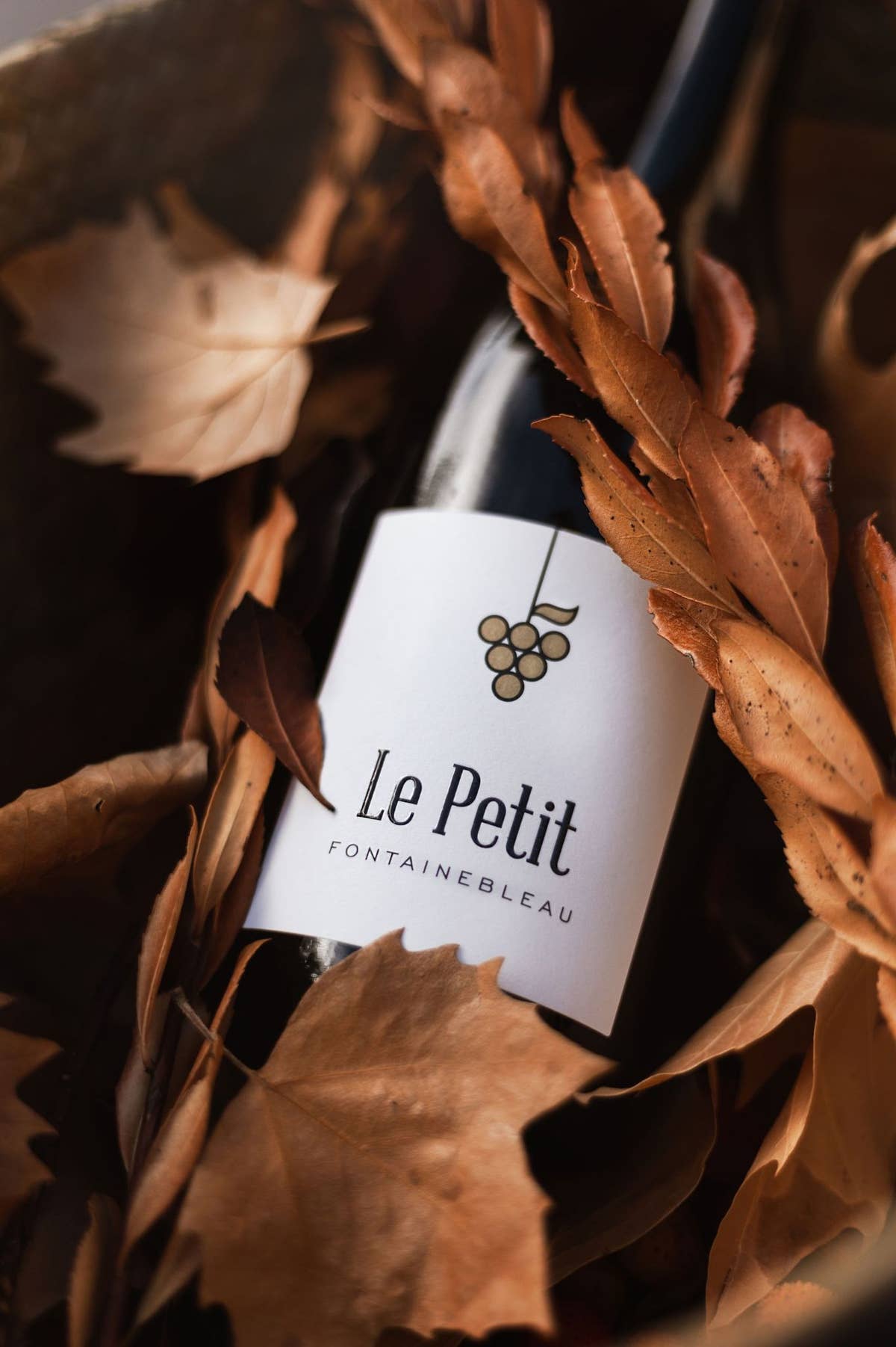 Le Petit Fontainebleau rouge dans un lit de feuilles de vigne d'automne