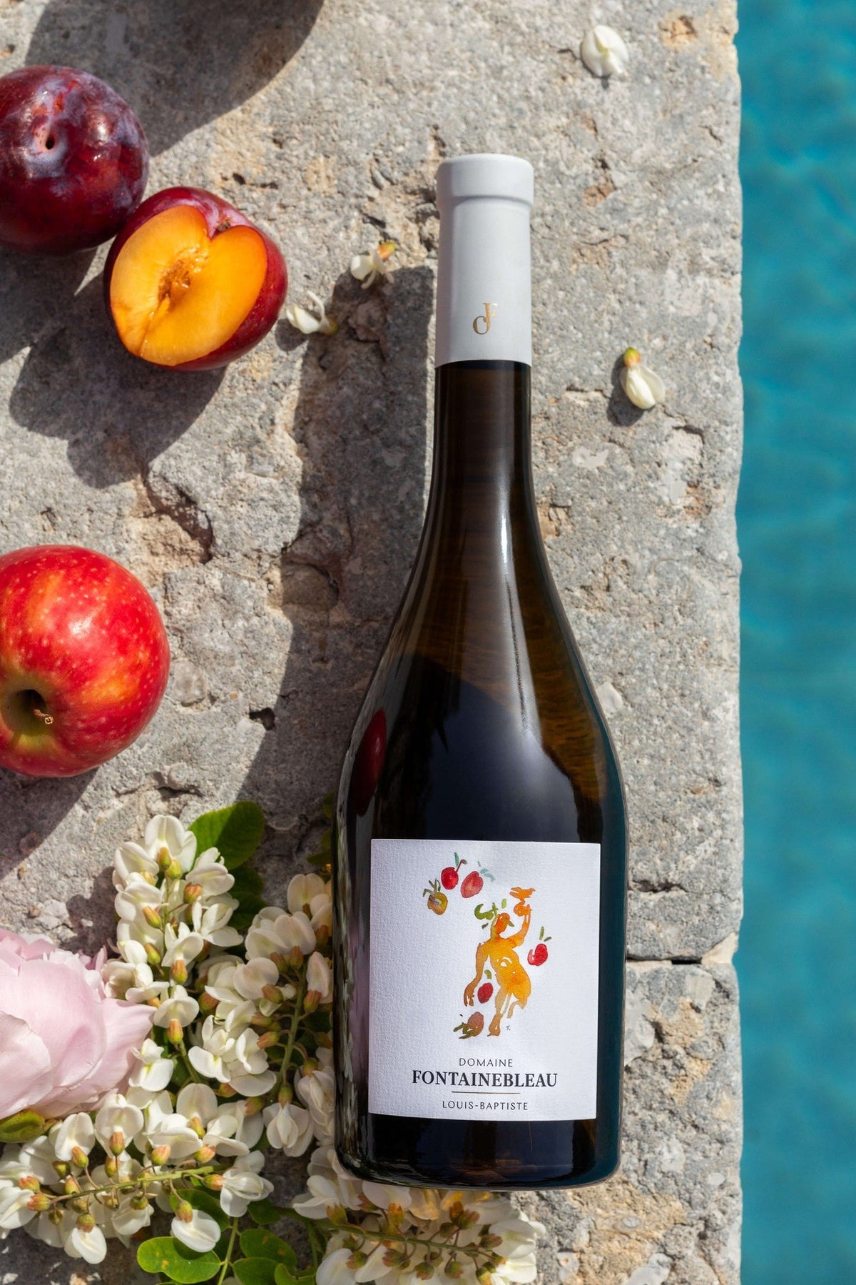 Louis-Baptiste 2023 sur la pierre, avec des prunes, des pommes et des fleurs d'acacia