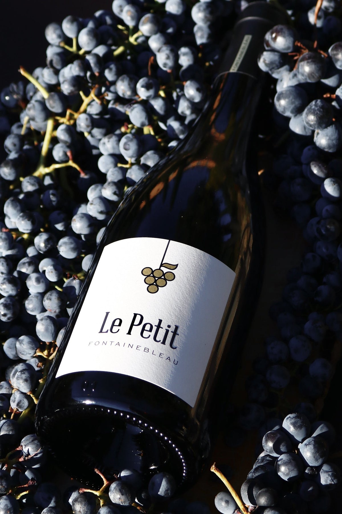 Le Petit Fontainebleau parmi les grappes de raisin noir