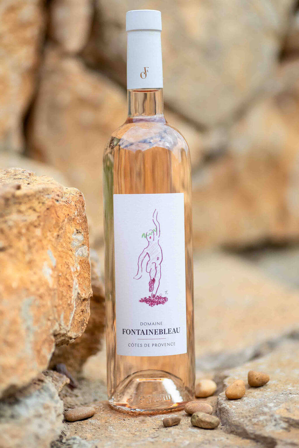 Côtes de Provence rosé 2025 posé sur la pierre, au soleil