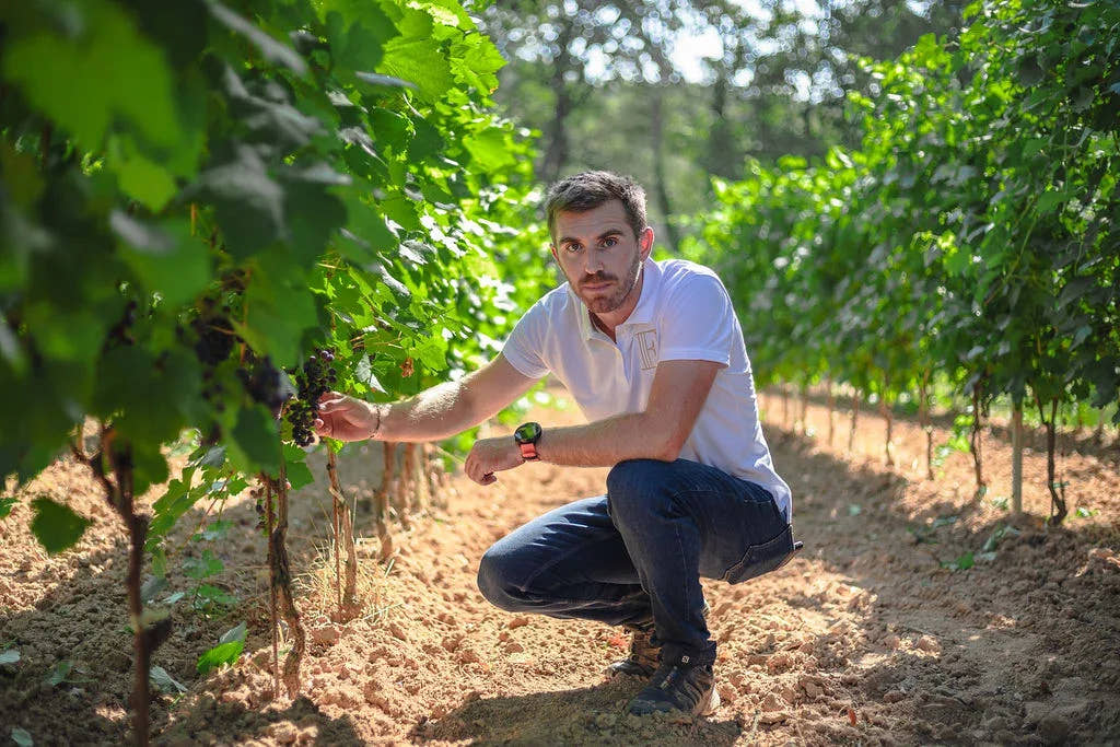Portrait of Baptiste, the winemaker — Domaine Fontainebleau en Provence